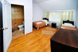 Мотели Shklo Motel Шкло Бюджетный двухместный номер с 1 кроватью-1